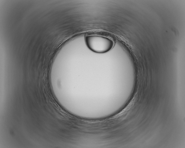 X0000111251257200907021012