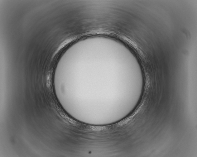 X0000111251258200907021012