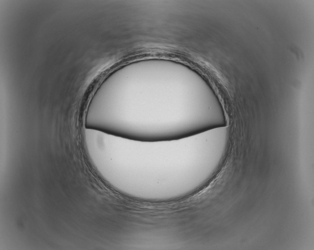 X0000111251261200907021012
