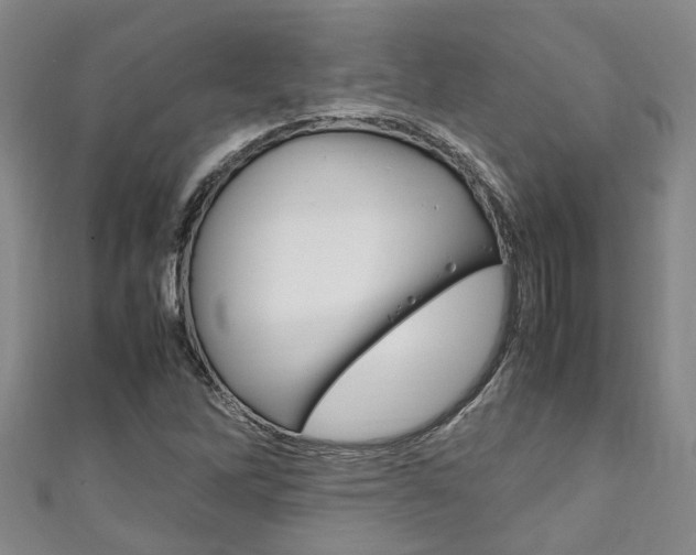 X0000111251262200907021012