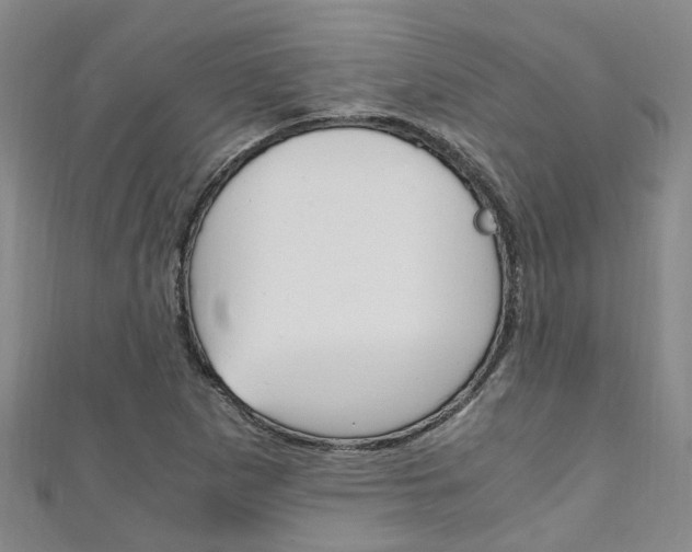 X0000111251265200907021012