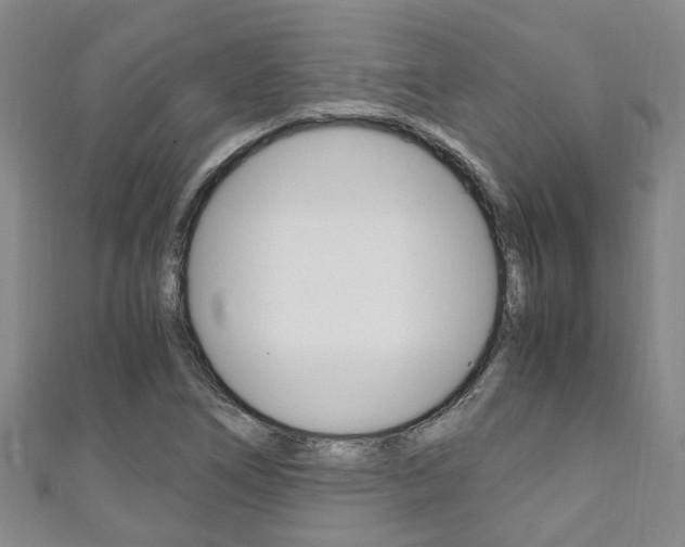 X0000111251266200907021012