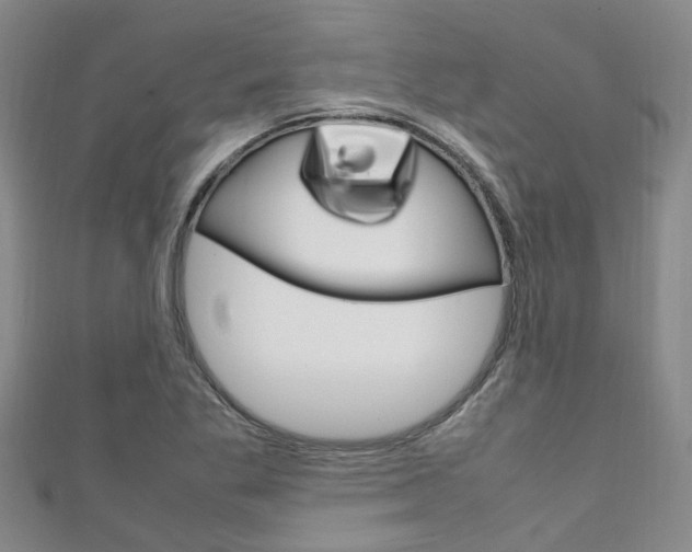X0000111251269200907021012
