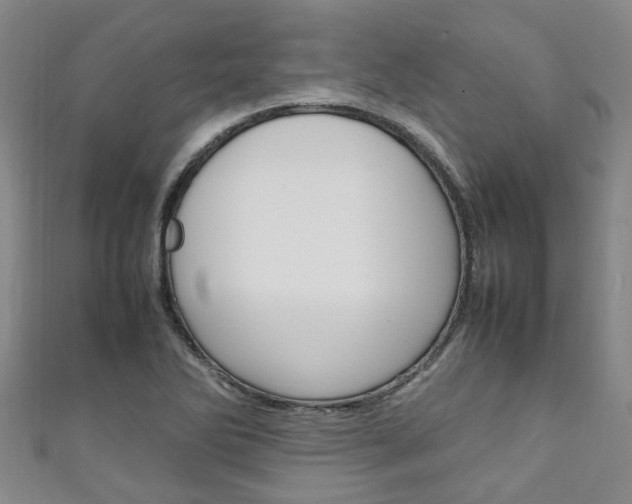 X0000111251270200907021012