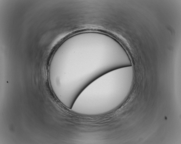 X0000111251271200907021012