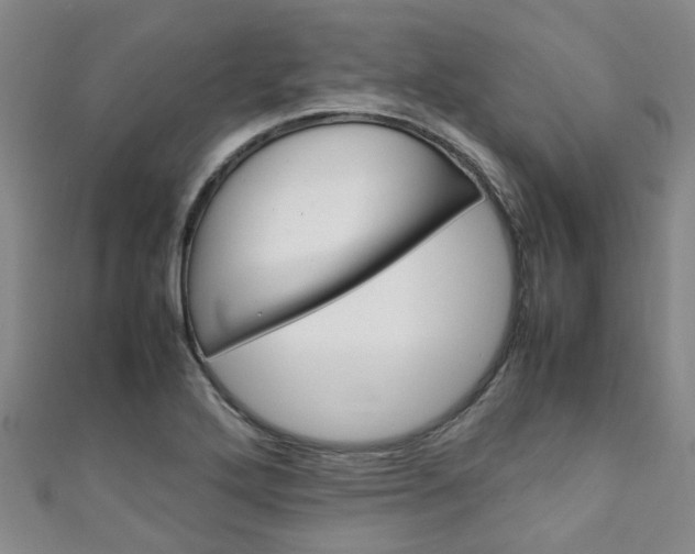 X0000111251272200907021012