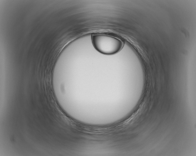 X0000111251273200907021012
