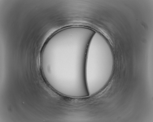 X0000111251275200907021012
