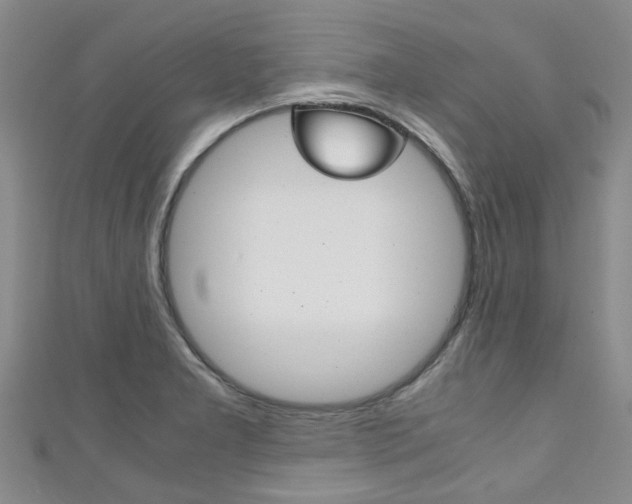 X0000111251277200907021012