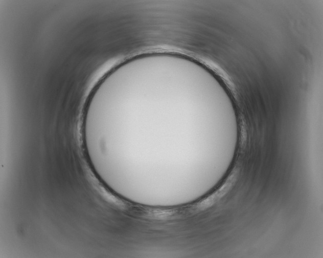 X0000111251278200907021012