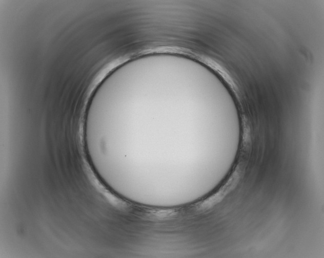 X0000111251282200907021012