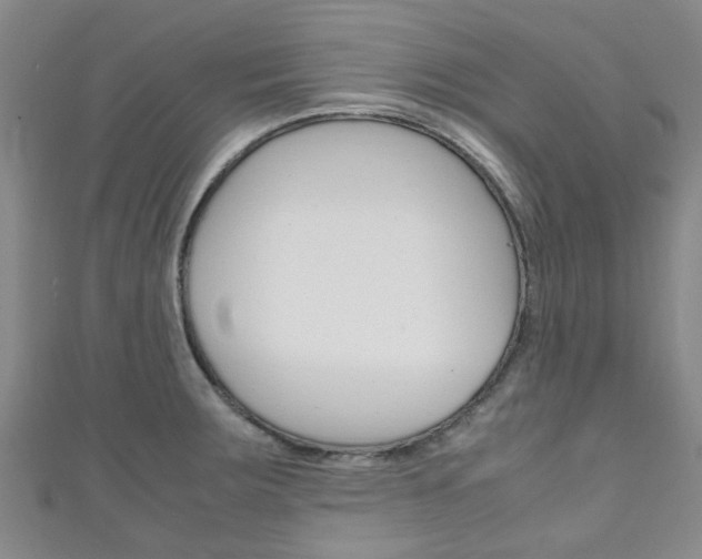X0000111251283200907021012