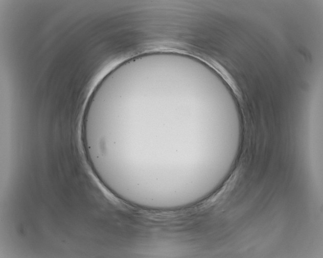X0000111251285200907021012