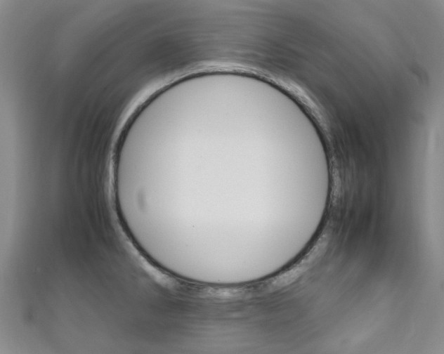 X0000111251286200907021012