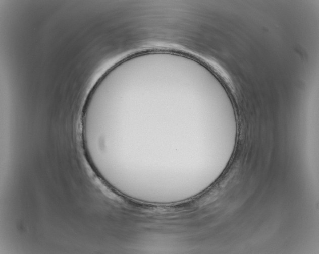 X0000111251287200907021012