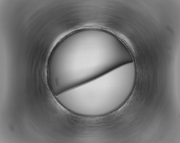 X0000111251288200907021012