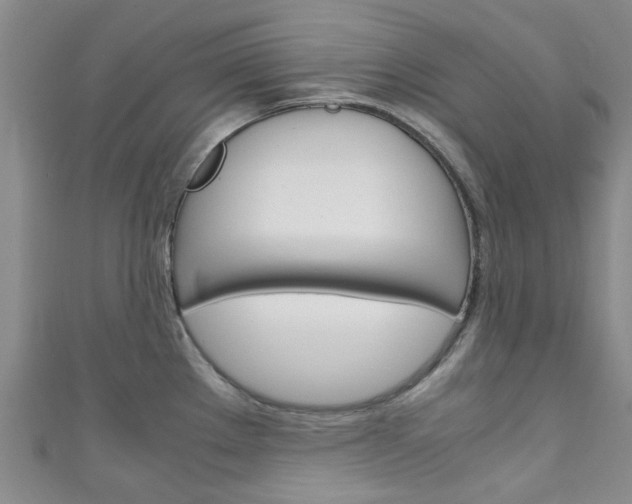 X0000111251289200907021012