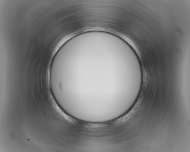 X0000111251290200907021012