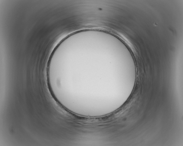 X0000111251291200907021012