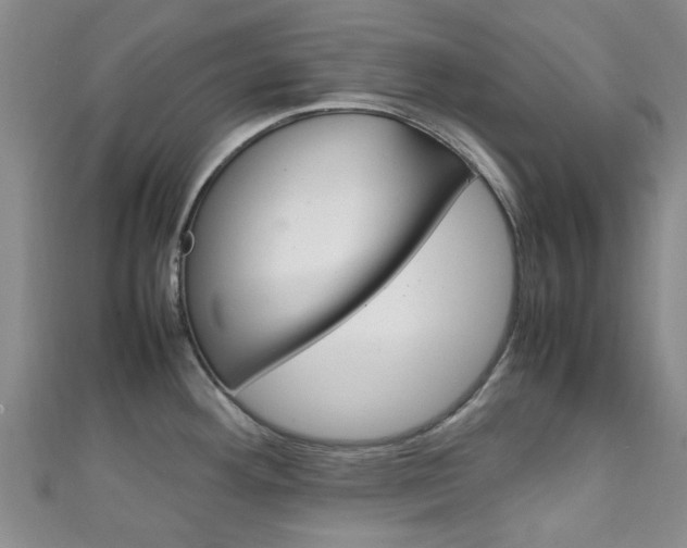 X0000111251292200907021012