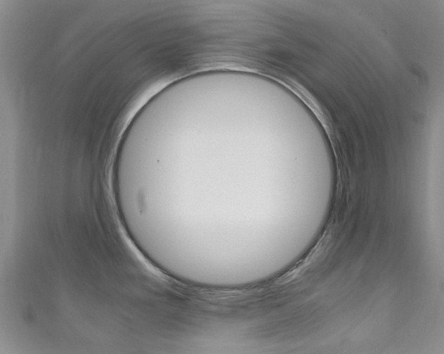 X0000111251293200907021012