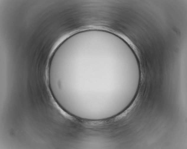 X0000111251294200907021012