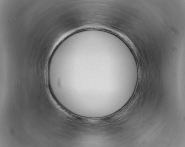 X0000111251295200907021012