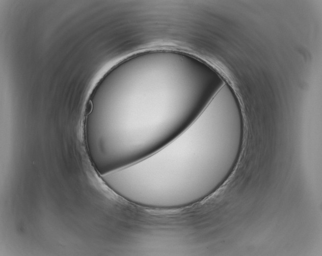 X0000111251296200907021012