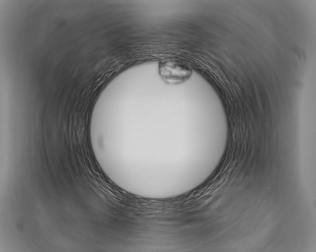 X0000111251298200907021011