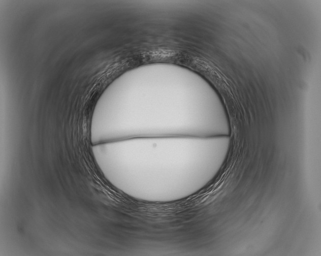 X0000111251299200907021011