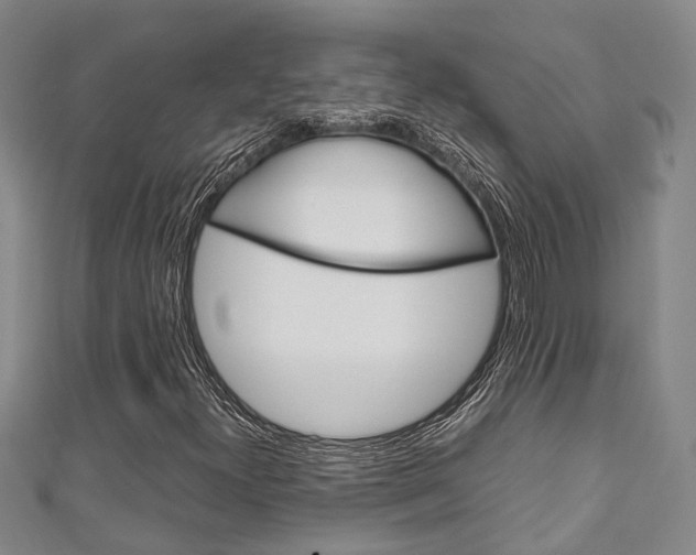 X0000111251300200907021011