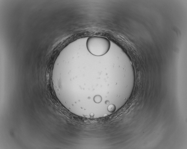 X0000111251302200907021011