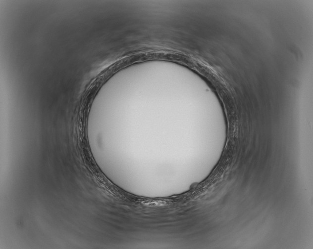 X0000111251303200907021011