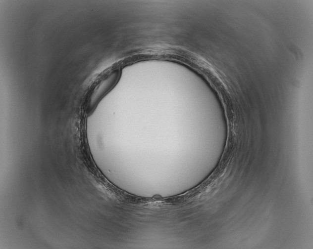 X0000111251304200907021011