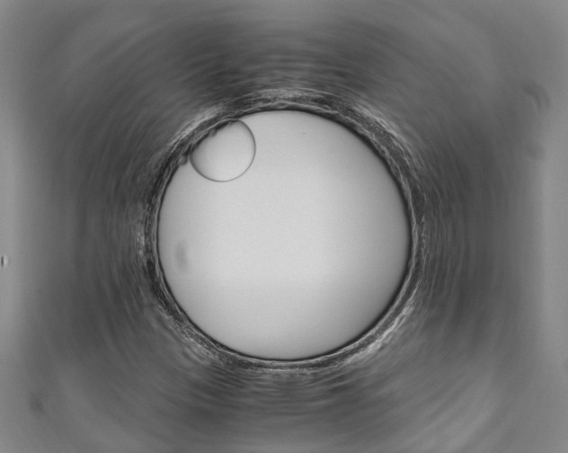 X0000111251305200907021011