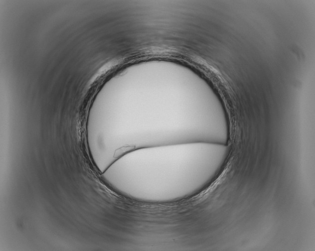 X0000111251306200907021011