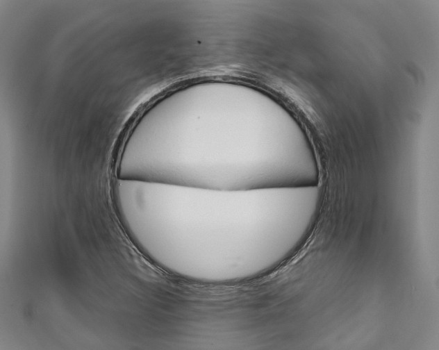 X0000111251308200907021011