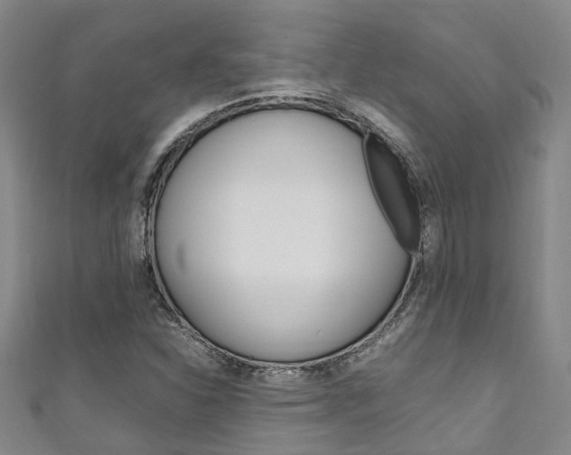 X0000111251310200907021011