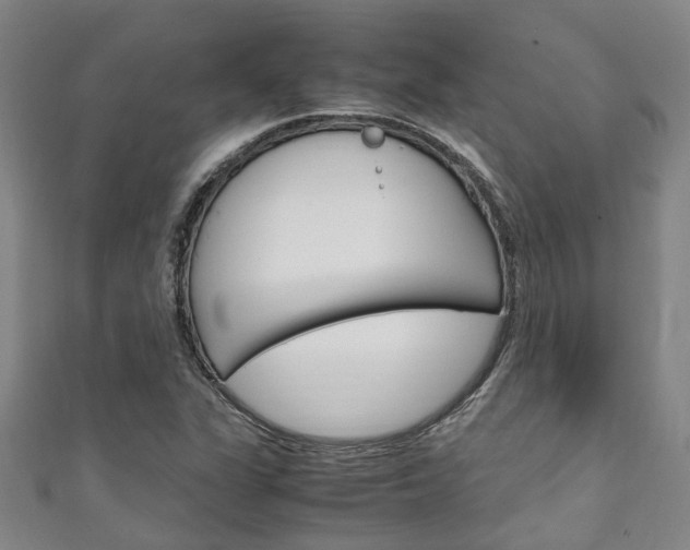 X0000111251311200907021011