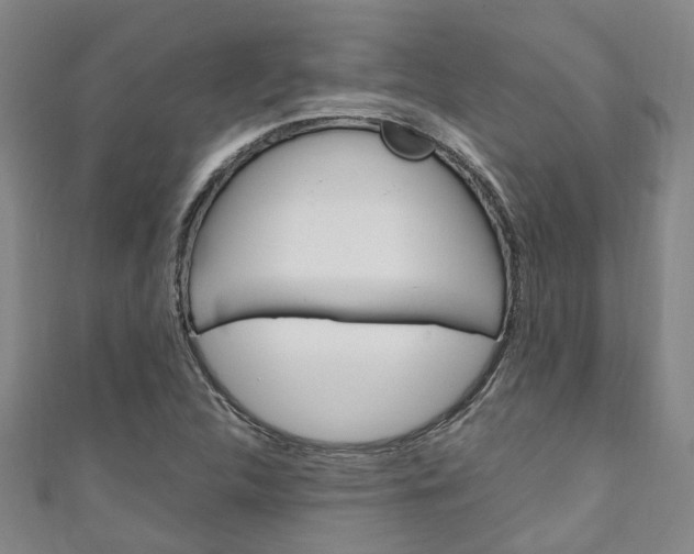 X0000111251312200907021011