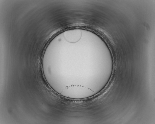 X0000111251313200907021011