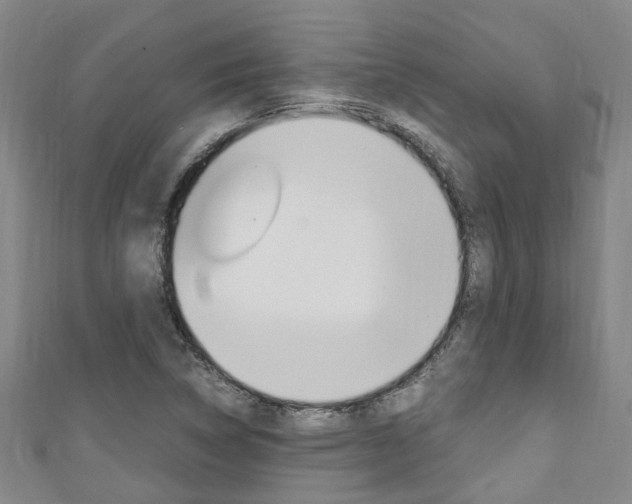 X0000111251314200907021011