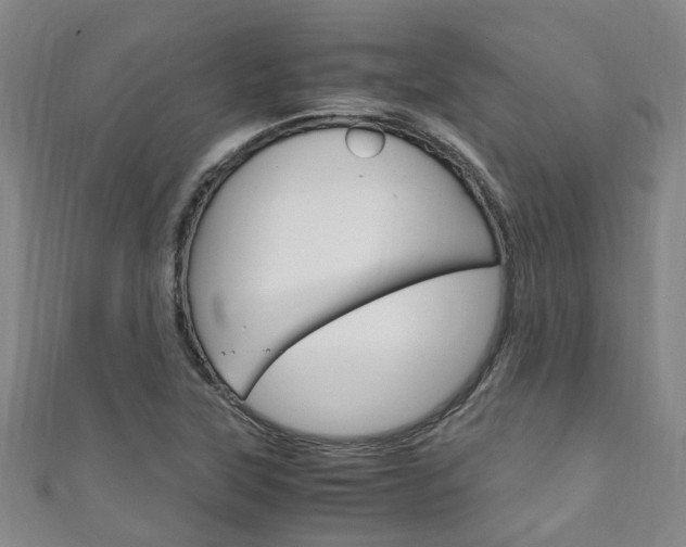 X0000111251315200907021011