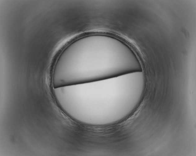 X0000111251319200907021011