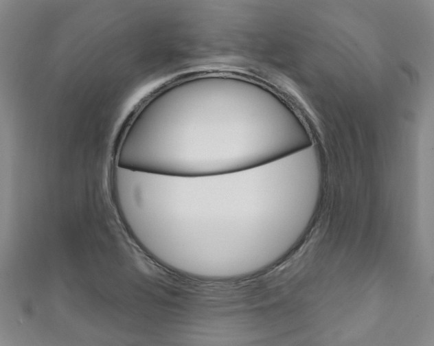 X0000111251320200907021011