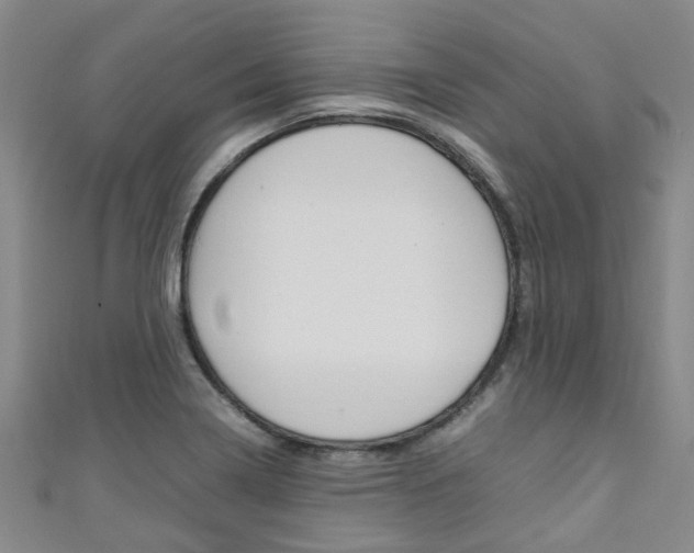 X0000111251322200907021011