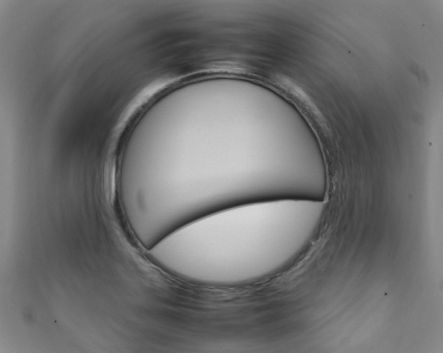 X0000111251323200907021011