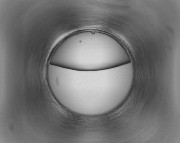 X0000111251324200907021011