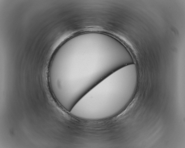 X0000111251325200907021011