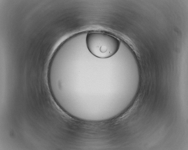 X0000111251326200907021011